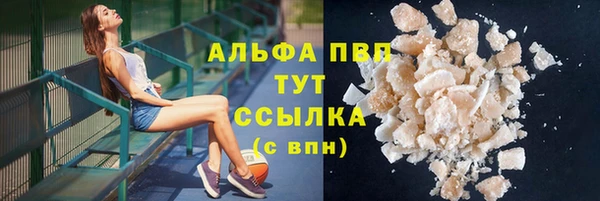 индика Костерёво