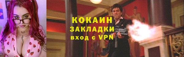 индика Костерёво