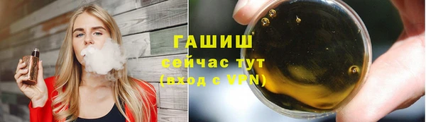 индика Костерёво