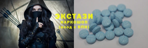 индика Костерёво