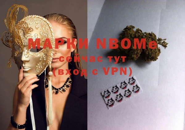 индика Костерёво
