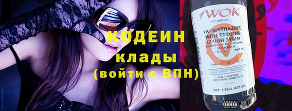индика Костерёво